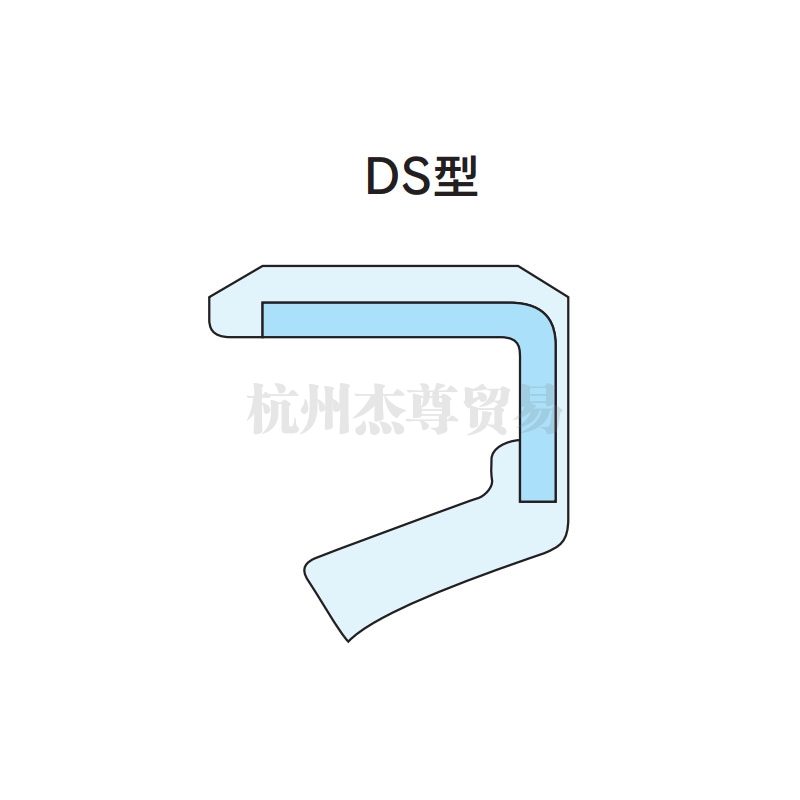 太倉(cāng)NDK油封 DS/DSR型